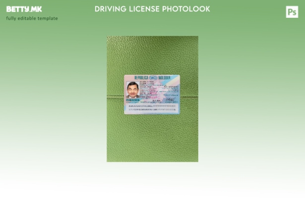 Модерен стил Молдавска возачка дозвола преден шаблон со фото изглед